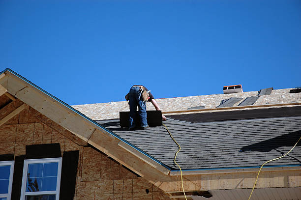 Best Roof Gutter Cleaning  in Web, AL