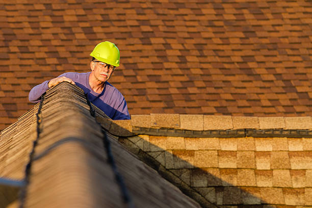 Best Storm Damage Roof Repair  in Web, AL