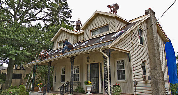 Best New Roof Installation  in Web, AL